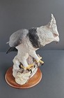 Harpy Eagle  stefani  Harpia Harpyia Porcelain Figurine   1500 Large 5 5 Lbs