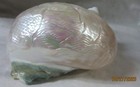 Dolphin Mermaid Engraved Pearlized Turbo 4  Shell Collectible Dmeptsc-68s