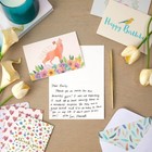48 Pack All Occasion Cards Box Set With Envelopes For Birthday  Weddings  4x6 In