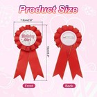 Birthday Ribbon Pin  5 9x2 8  Fabric Birthday Girl Pin For Party  Red