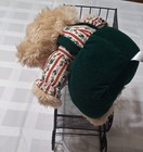 Plush Teddy Bear With Green Outfit