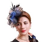 Blue Cocktail Hat Wedding Church Kentucky Derby Formal Mesh Party Fascinator