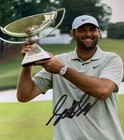 Pga Golf  1 Ranked Scottie Scheffler Signed Autographed 8x10 Photo   sale 