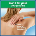 Salonpas Pain Relieving Patches  60 Count