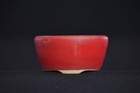 Japanese Bonsai Pot  biko Horie  Beautiful Shinsha Glaze Round Shape Pot W6 0cm