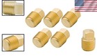 Solid Brass Pipe Fitting  1 8  Npt Male Square Head Plug  5 Pcs 