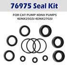 For Cat Pump 4dnx Pumps 4dnx25gsi 4dnx27gsi Seal Kit 76975 Seal Kit 12pcs
