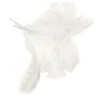 10 Pcs Natural Ostrich Feathers Wedding Party Decoration White 45-50cm G2c14000