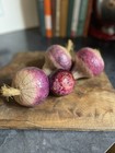 Artificial Fake Food Vegetable Produce Filler Purple Onion Display Prop Lot 4
