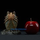 Sideshow Alien Egg Facehugger Statue H12   Painted Figure Model Collection Led