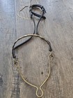 Arabian Horse Show Halter