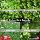 Basil  Oregano  Parsley  Chives Seeds Set  Culinary Herb  Non-gmo  Free Shipping
