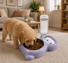 Dog Bowls  Cat Food And Water Bowl Set