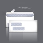 Basics  9 Security Tinted Double Window Envelopes  500-pack
