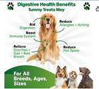 Probiotics For Dogs     Digestive Health Chews With Prebiotics   Enzymes   Dog Pro