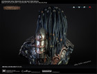 Sideshow Coolprops Wolf Predator 1 1 Life-size Bust 25 5  Avp Requiem  903360