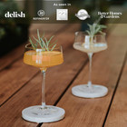 Tag Luxe Martini Glasses - Set Of 4 Handblown Crystal  With Bar Spoon