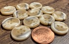 Set Of 12 Vintage 4-hole Tan Cream Brown Plastic Buttons Almost 5 8  15mm 17644