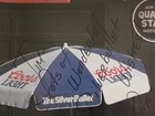 Rare Coors Light Sexy Pink Bikini Beer Poster Vintage 36x20 Signed Voss Ford