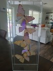 5 Iridescent Mounted Butterflies Display Case   Acrylic Wall Mountable 