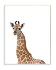 Stupell Home D  cor Baby Giraffe Studio Photo Wall Plaque Art  10 X 0 5 X 15     