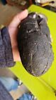 Oviraptor Dinosaur Egg Fossil Cretaceous Era Black Egg Shell Preserved 