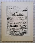 Jay Norwood  ding  Darling U s  Conservation Political Poster Size Cartoon  d 