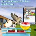Bird Buddy Smart Bird Feeder With Camera Solar Powered Solar Roof Freship