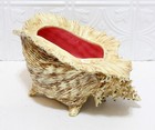 Large Vintage Atlantic Mold Ceramic Conch Sea Shell Planter Vase Brown   Pink