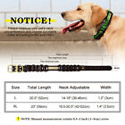 Customized Real Leather Dog Collar Personalized Name Heavy Duty Braided L Xl 