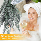 12 Pcs Dried Eucalyptus Bundle For Shower - 17  Large Preserved Eucalyptus Stems