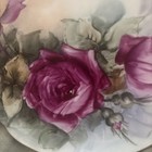 Antique C 1878 Haviland   Co  Limoges France Hand Painted Floral Luncheon Plate