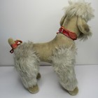 Vintage Steiff Poodle Snobby Grey Mohair Jointed 17  Missing Tags 43 Cm Rare
