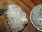 Silicate Gold Quartz Specimen 1 49 Gram Oregon Gold And Quartz