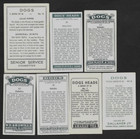 7 Different Vintage Saluki Tobacco cigarette tea Dog Cards Lot