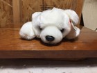 Ty 1998 Chilly Polar Bear White Beanie Buddy