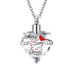Cremation Jewelry For Ashes Pendant - Crystal Heart Urn Necklace