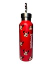 Disney Minnie Mouse Stainless Steel Water Bottle With Clip Lid 19oz Red
