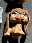 Terrier  857 Grey Boxer   More - Authentic Littlest Pet Shop - Hasbro Lps