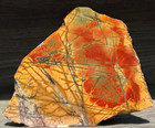 Cherry Creek Red Creek Jasper China 4 75 x4  Agate Lapidary Rough Slab Cabbing 2