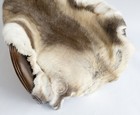 Greyish Genuine Reindeer Hide Rug - Size 3x5 