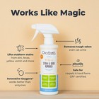 Oxyfresh Advanced Dog   Cat Urine Pet Stain Remover Odor Eliminator