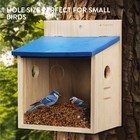 Wood Bluebird Feeder House - Wall Mounted Garden Decor For Bluebirds -