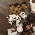 Ty Beanie Buddies Bears Lot Of 10 All With Tags  Dogs Cats Great Condition  Ty5
