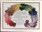 Royal Society Embroidery Floss   Celest Twist Sample Catalog Page E T Howard Co