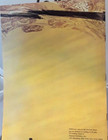 1965 The Agony And The Ecstasy Movie Souvenir Program Book W charlton Heston