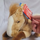 New Fao Schwarz Blue Ribbon Realistic Appaloosa Blanket Chestnut Plush 14  Horse