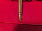 Pilot Fountain Pen 88 Wood Finish