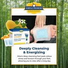 1 2 3  Xitox Foot Detox Patches Pads Toxins Deep Cleansing Herbal Organic Pad
