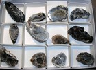 12 Oco Geodes  Polished Agate Geode Halves M8951